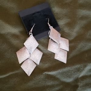 NWT Brushed silver earrings 💥